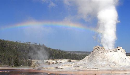 Castle geyser at Yellowstone