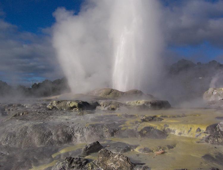 Whakarewarewa Geothermal Valley