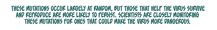 Text: These mutations occur largely at random, but those that help the virus survive and reproduce are more likely to persist. Scientists are closely monitoring those mutations for ones that could make the virus more dangerous.