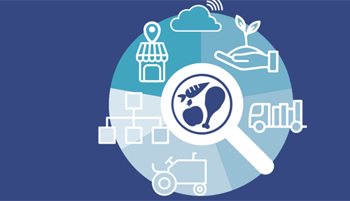 Conceptual illustration of the food system. There is a circle with icons for different aspects, including a cloud, a leaf growing in someone's hand, a truck, a tractor, a store, and a plate with food. 