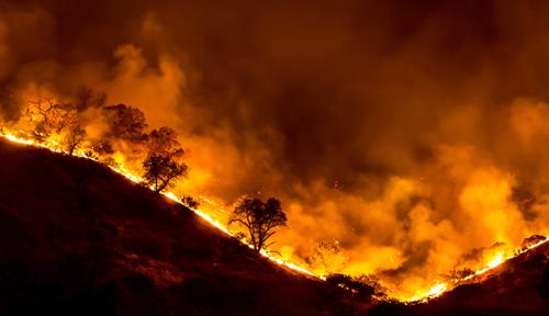 Photo shows a line of flames along the hills at night.