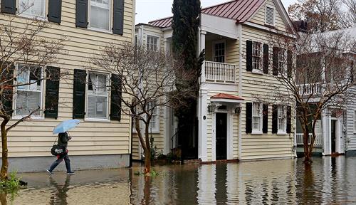 A woman holding an umbrella walks along the edge of a flooded street. The street is flanked by a row of old wood-framed houses painted yellow, cream and gray. The houses have balconies and there are black shutters around the windows. The trunks of small trees are underwater.