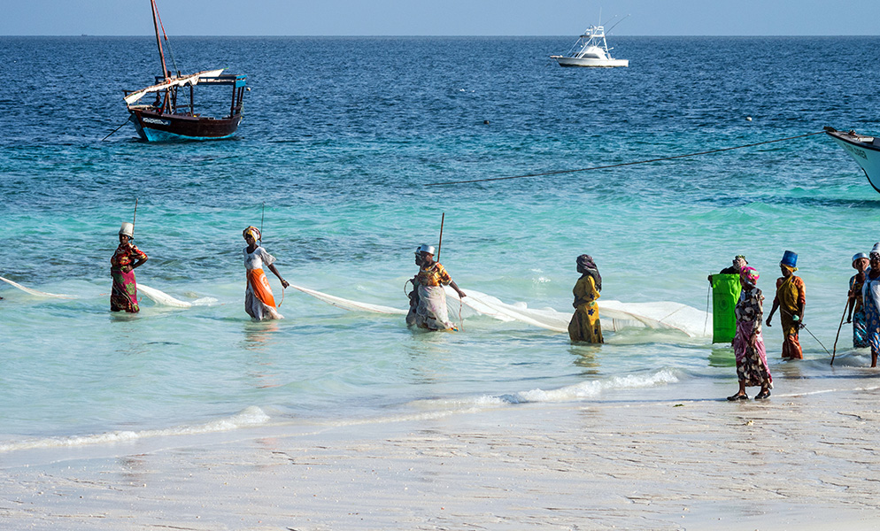 Photograph of a group of women hauling nets along the shallow waters of a beach.