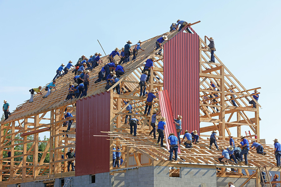 Several dozen Amish working together to build a barn.