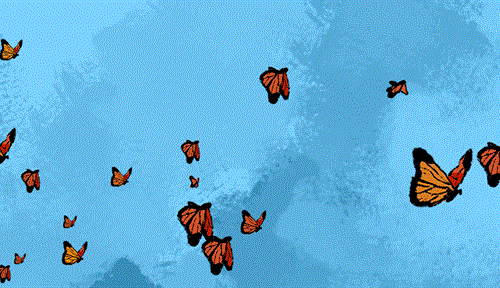 Butterflies in flight