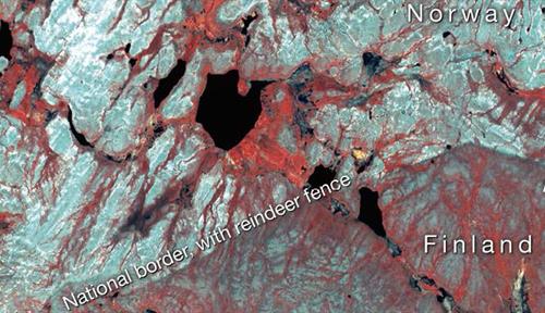 A satellite image shows how a decades-old fence erected between Finland and Norway affected Arctic vegetation by altering the movement of reindeer herds.