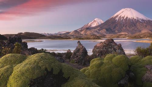 A view of the Altiplano in the Lauca National Park, Chile.