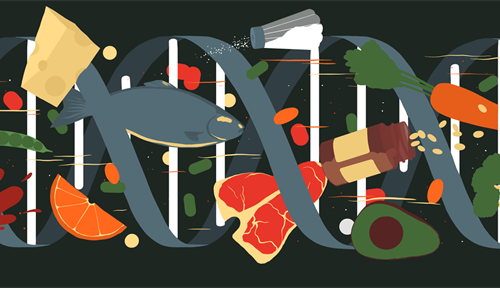 Conceptual illustration showing a DNA double helix and lots of different types of food.