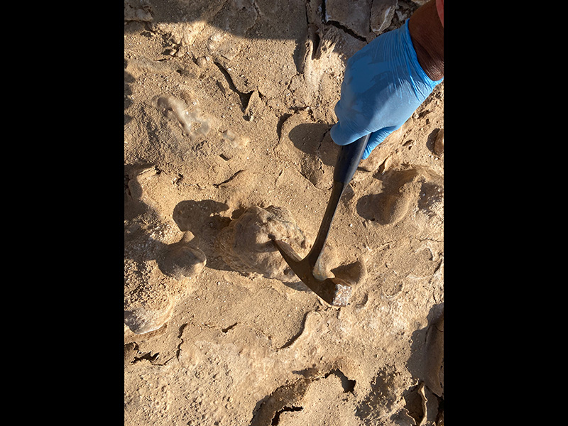 A gloved hand strikes the tan rocky soil with a metal hammer