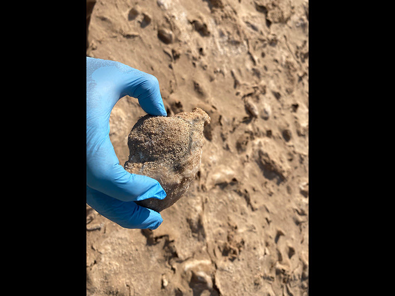 A gloved hand holds a tan rock with faint brown lines