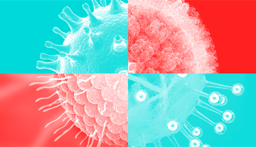 An image shows a grid of four viruses in four squares; two are colored blue and two are colored red.