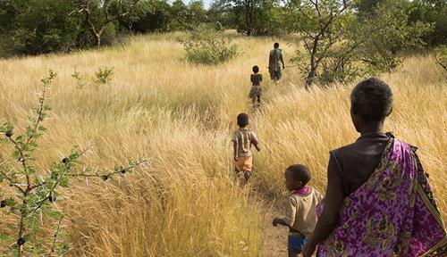 Hunter-gatherer women and children walk through a grassy African savanna. 