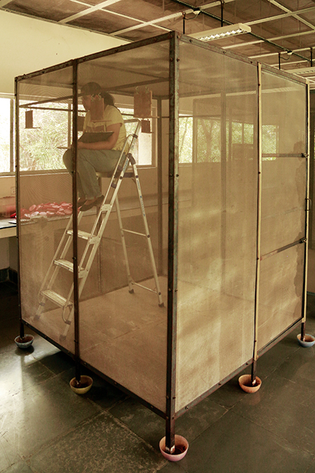 Photograph of a woman sitting at the top of a step ladder inside a large wire cage