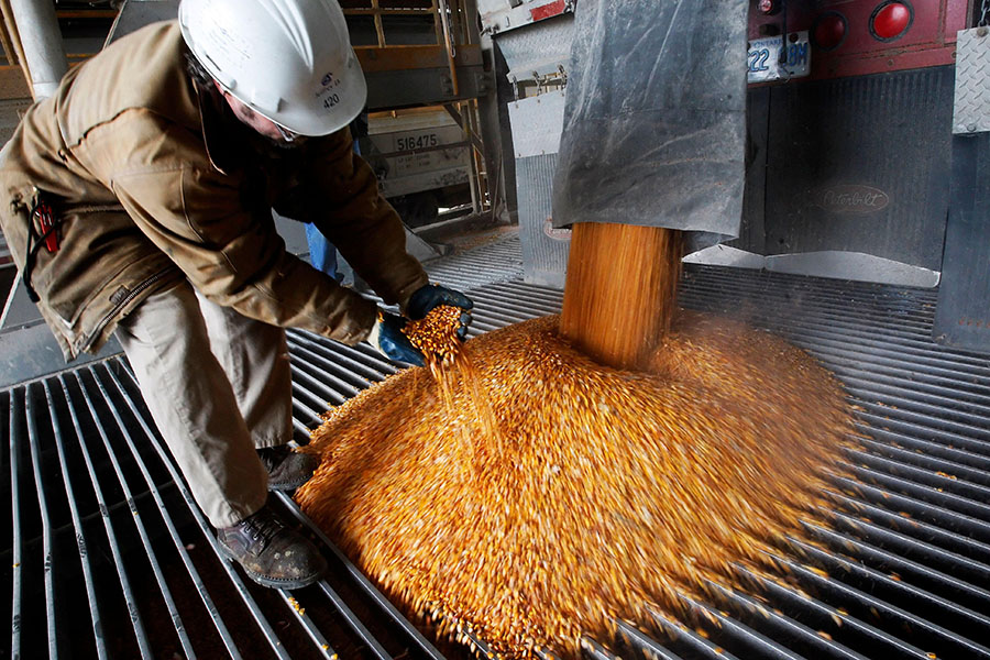 Photograph of yellow-orange corn pouring out of a tube through a metal grid into a container.