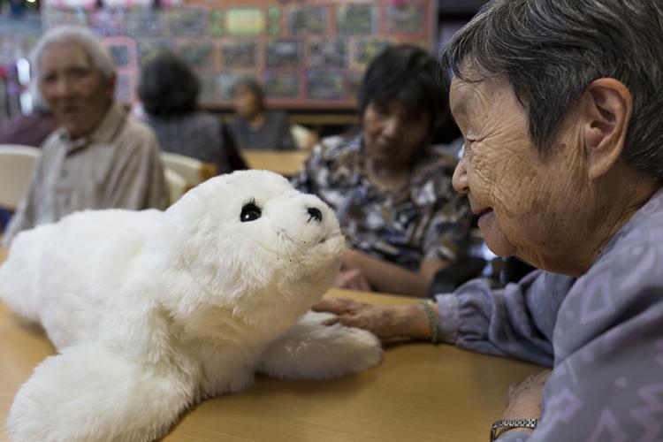 An elderly woman stares into the face of Paro, the robotic seal.