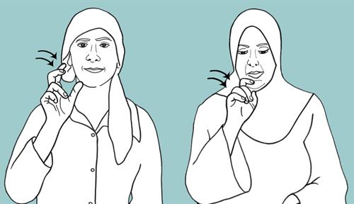 Bedouin sign language variations