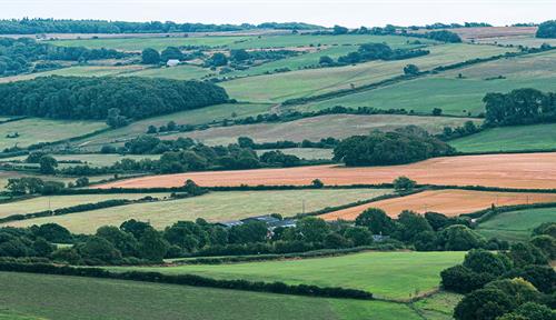 An English landscape, with hedgerows separating fields and pastures