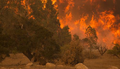 A fire rages in California