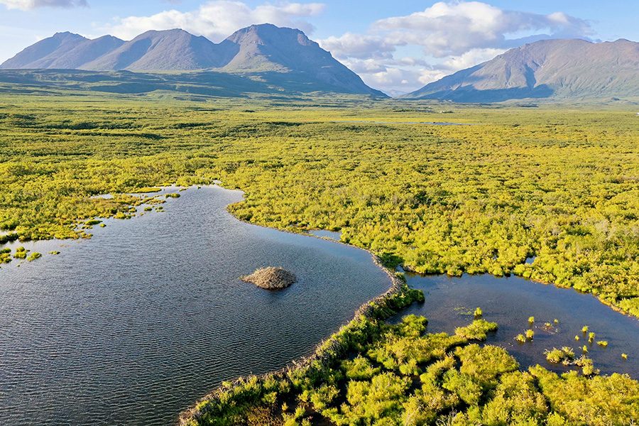 Photo of green flat tundra, with mountains in background and a large pond in the foreground. A small mound sticks out of the pond.