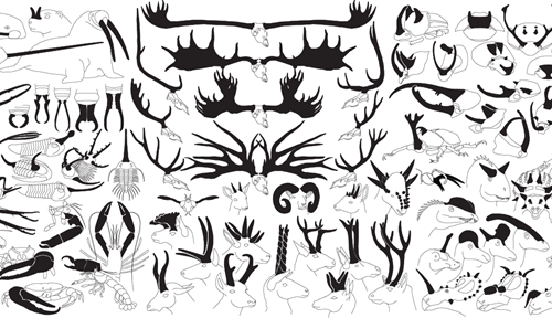 A line drawing montage of various animal weapons.