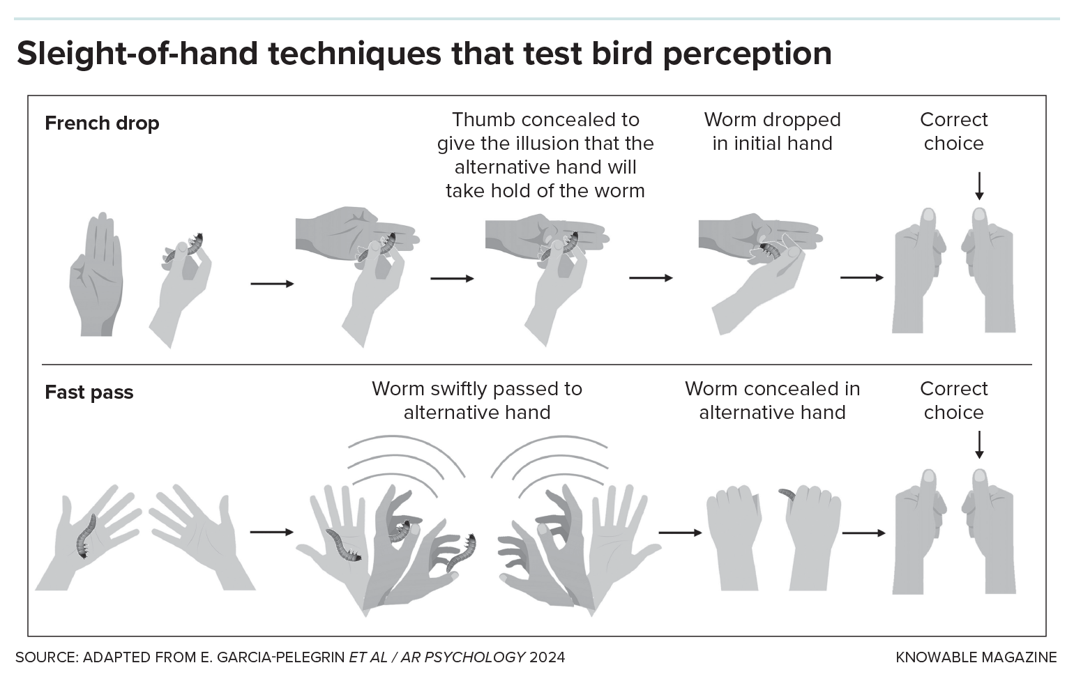 Graphic shows series of hand motions for two sleight-of-hand tricks, the fast pass and French drop.