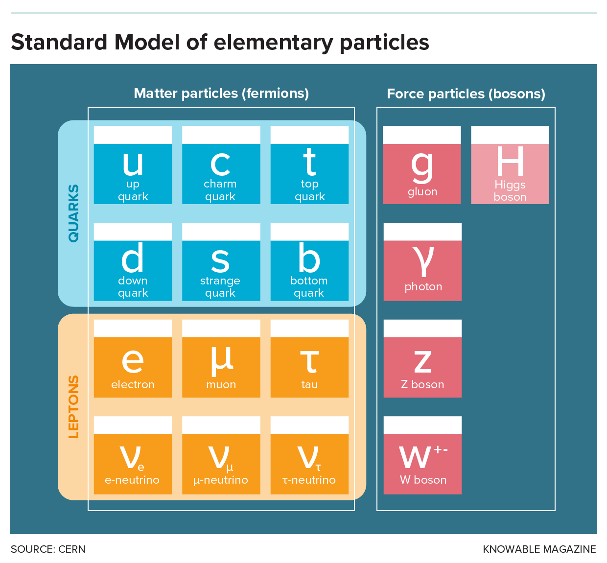 Table categorizes known elementary particles of matter and force.