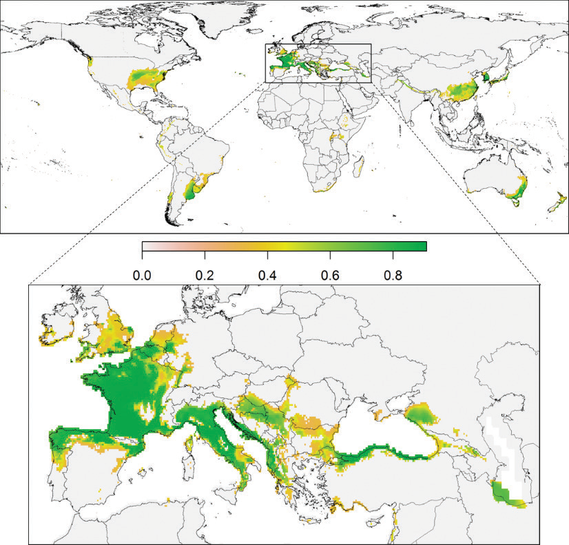 World map shows regions in shades of green and yellow with a climate suitable for invasive hornets. Large portions of Europe and the US are highlighted. China, the Korean peninsula, Australia, and Argentina also stand out on the map.